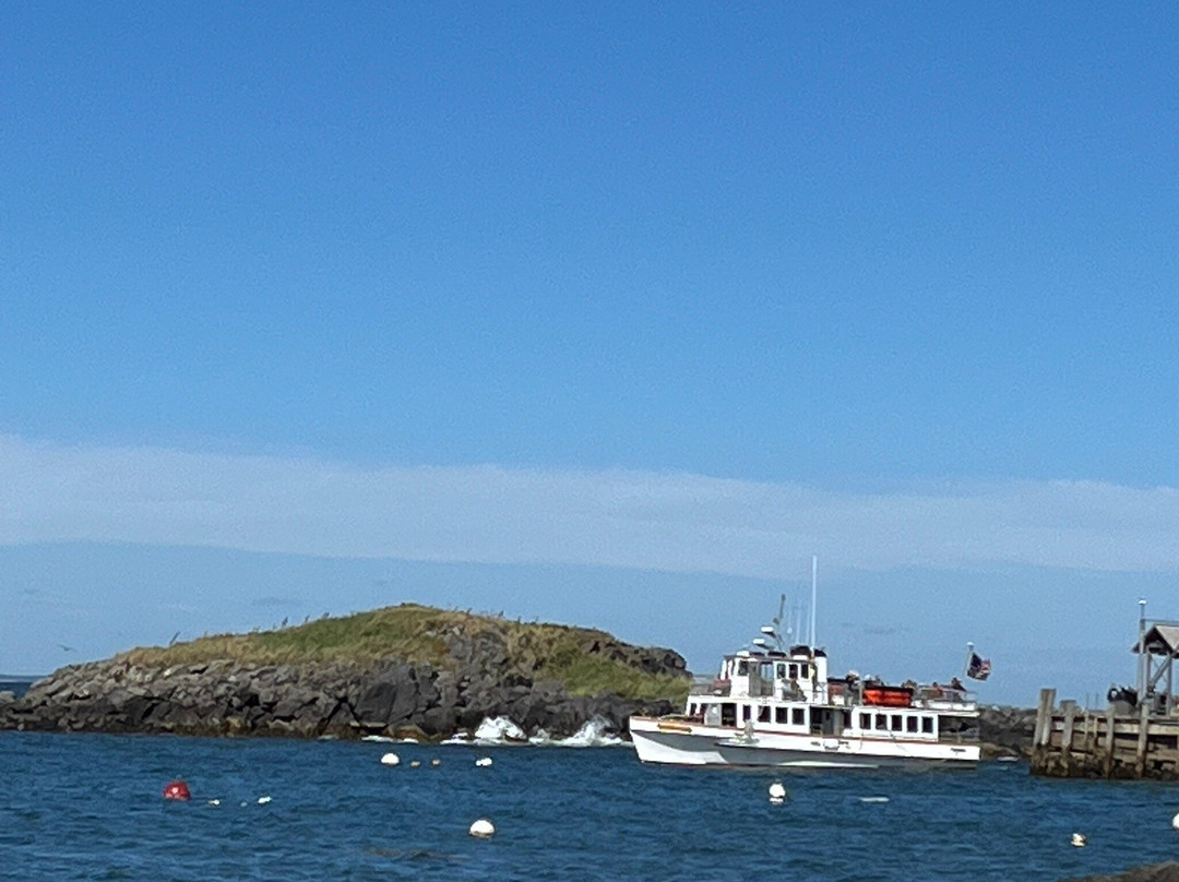 The Island Inn主图