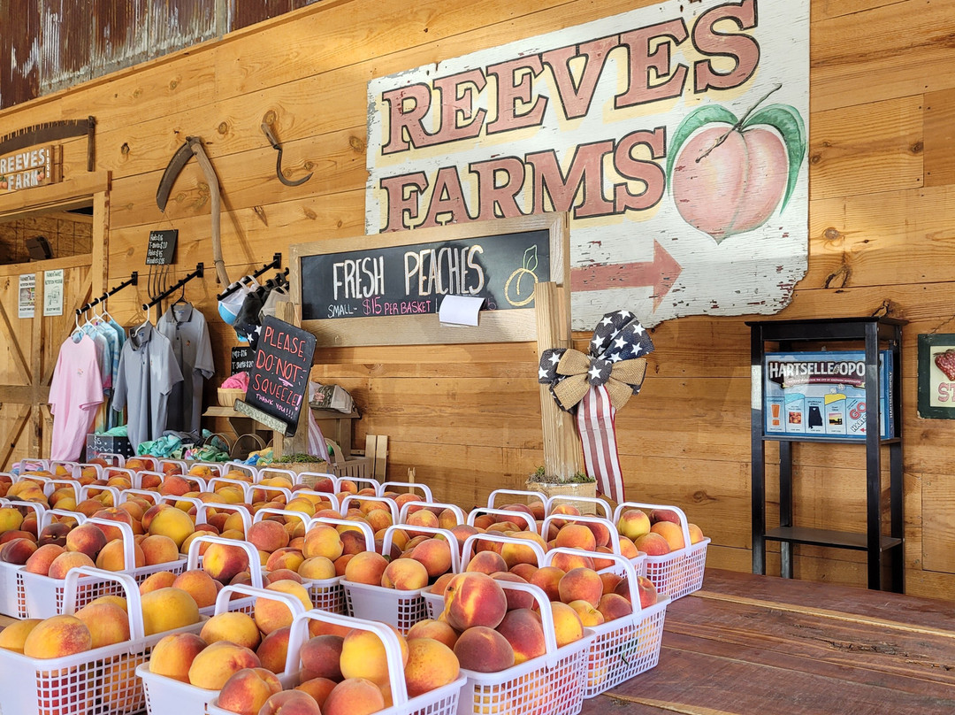 Reeves’ Peach Farm景点图片