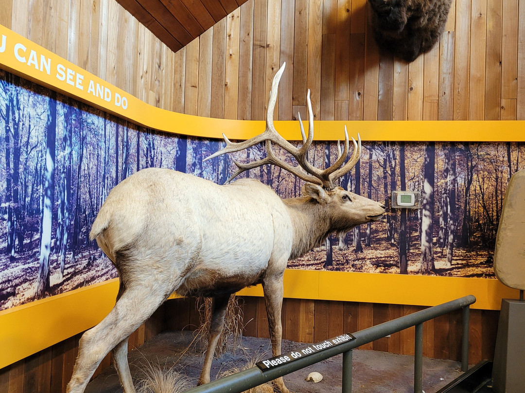 Golden Pond Visitor Center-Golden Pond必去景点