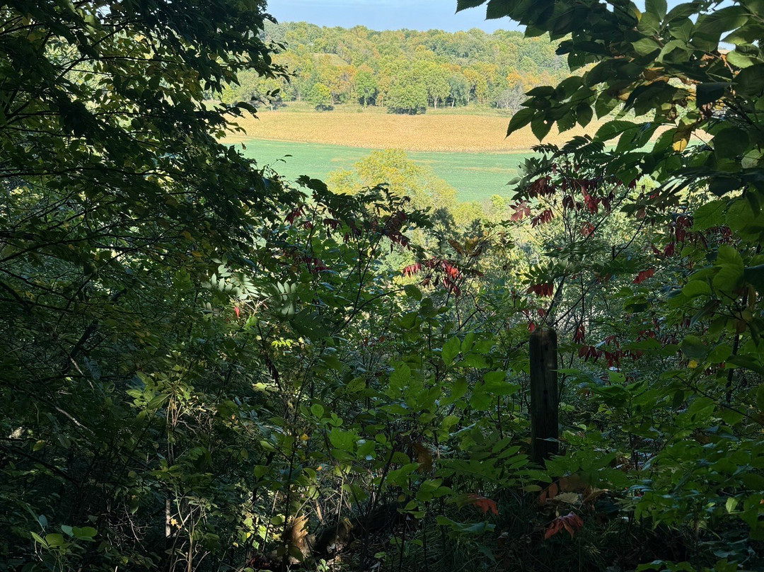 Kilen Woods State Park景点图片