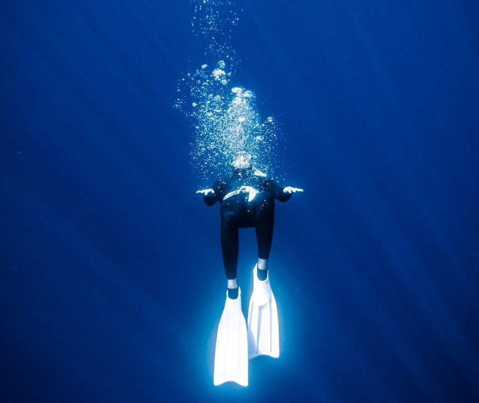 Freedive Cosmos景点图片
