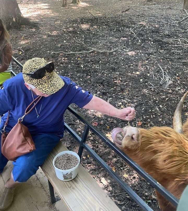 The Lazy 5 Ranch-穆尔斯维尔必去景点