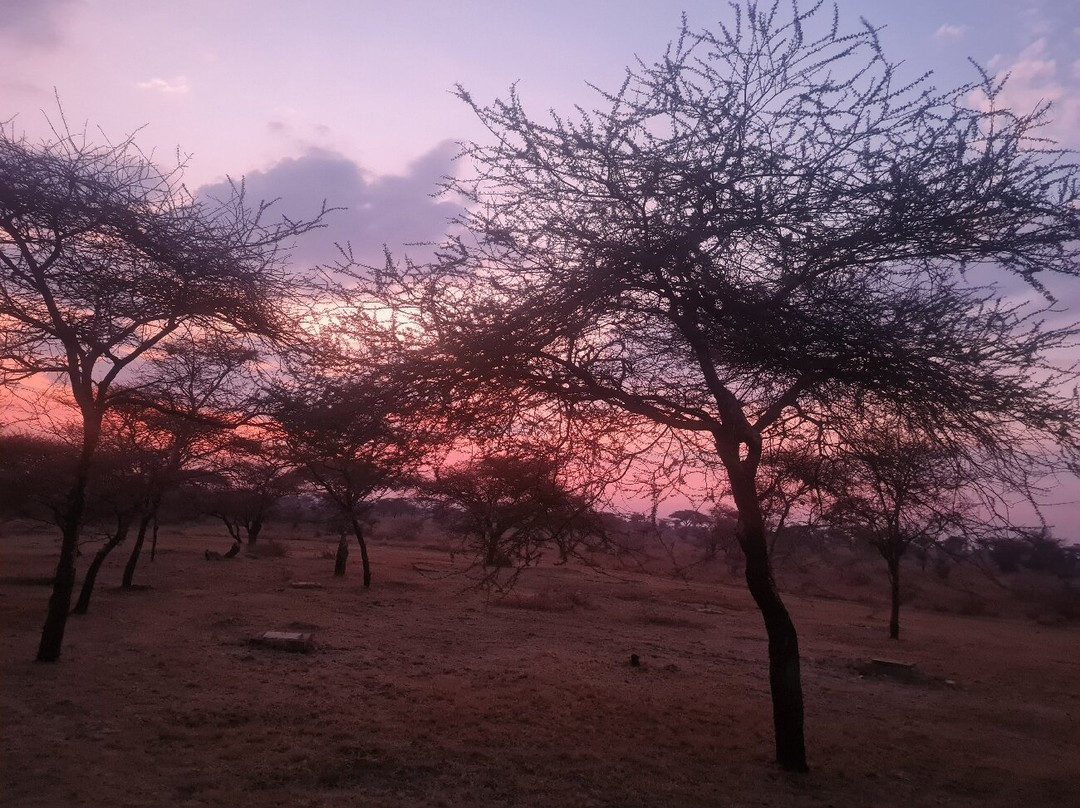 Best tour operator in Tanzania by Rede Tours and Safaris景点图片