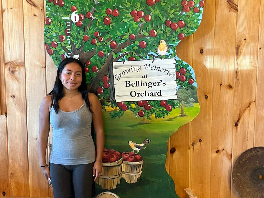 Bellinger's Orchard-Fultonville必去景点