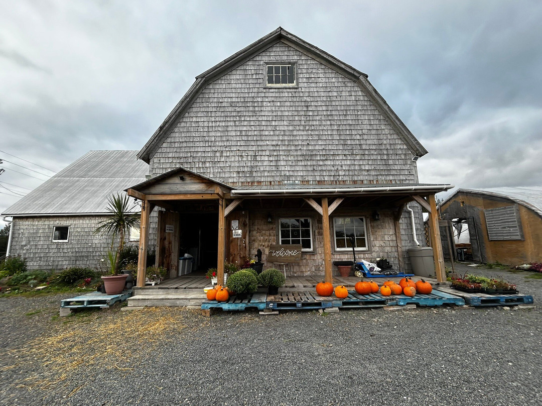 奥尔德农场住宿加早餐酒店主图