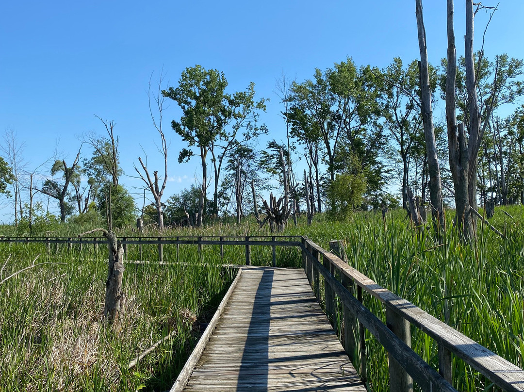 Maumee Bay State Park-Oregon必去景点