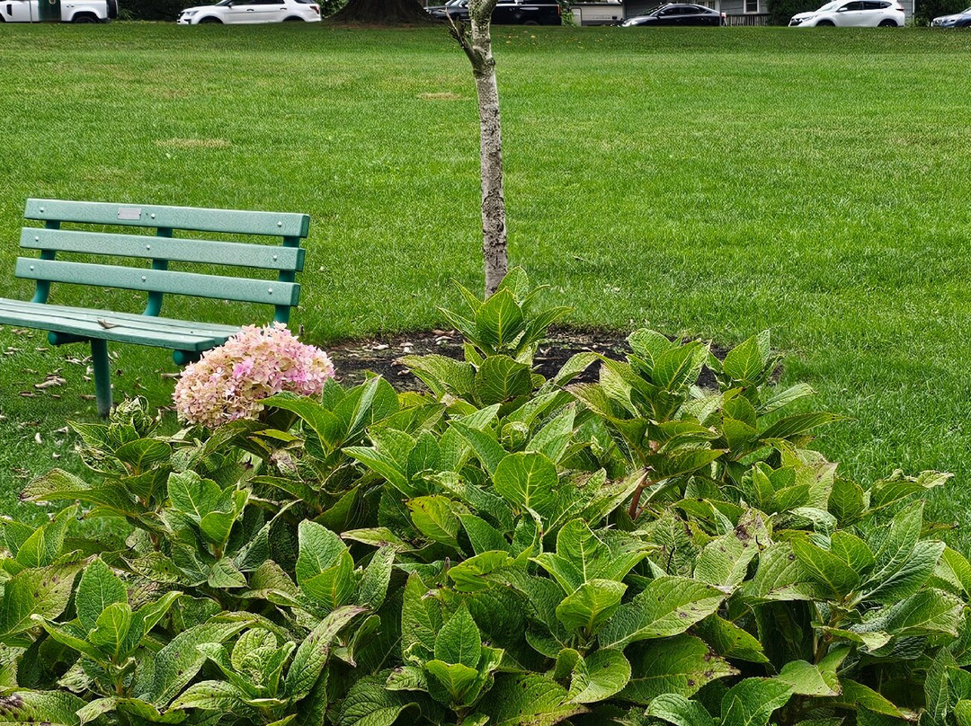 Shamrock Park-Bel Air必去景点