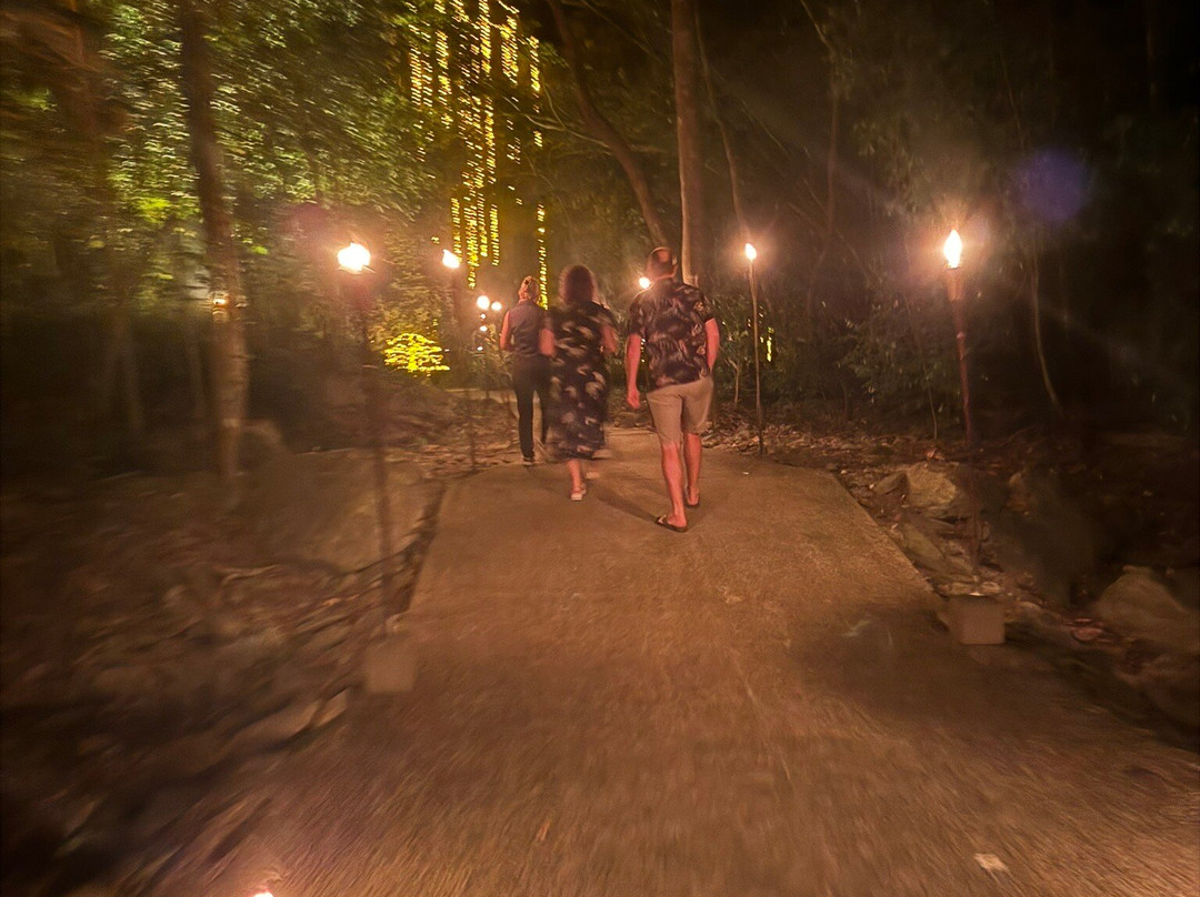 Flames of the Forest-道格拉斯港必去景点