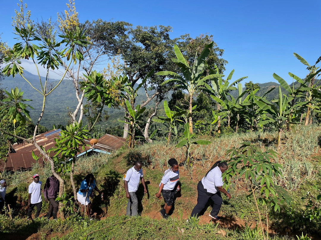 The Zaales' Homestay主图