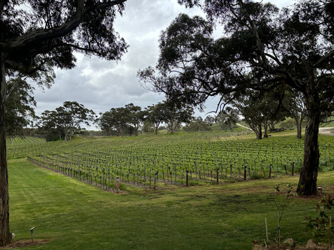 Adelaide Sightseeing-阿德莱德必去景点