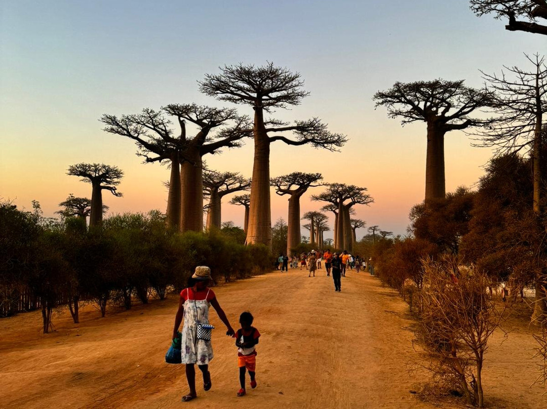 Malagasy Tours-安塔那那利佛必去景点
