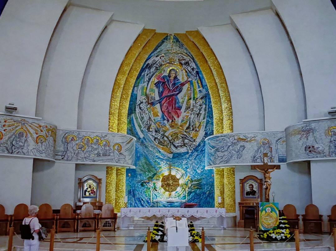 The Catholic Cathedral Saint Mary景点图片