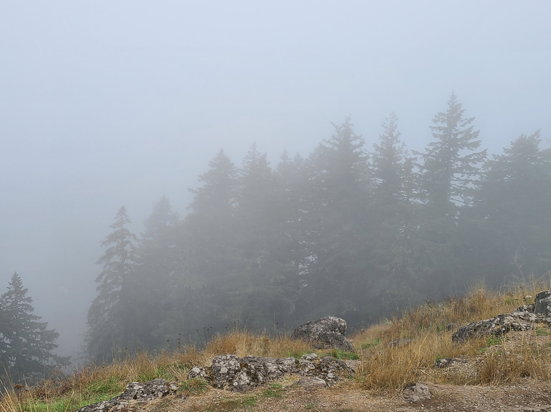 Spencer Butte-尤金必去景点