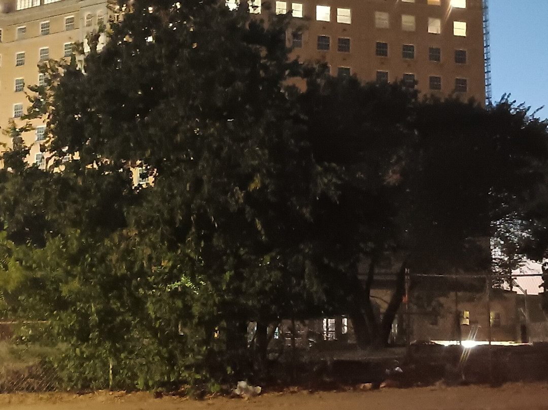 The Baker Hotel Ghost Walk-矿泉井城必去景点