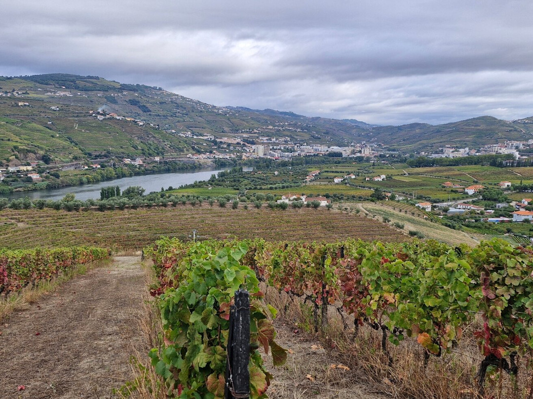 Casa da Azenha主图