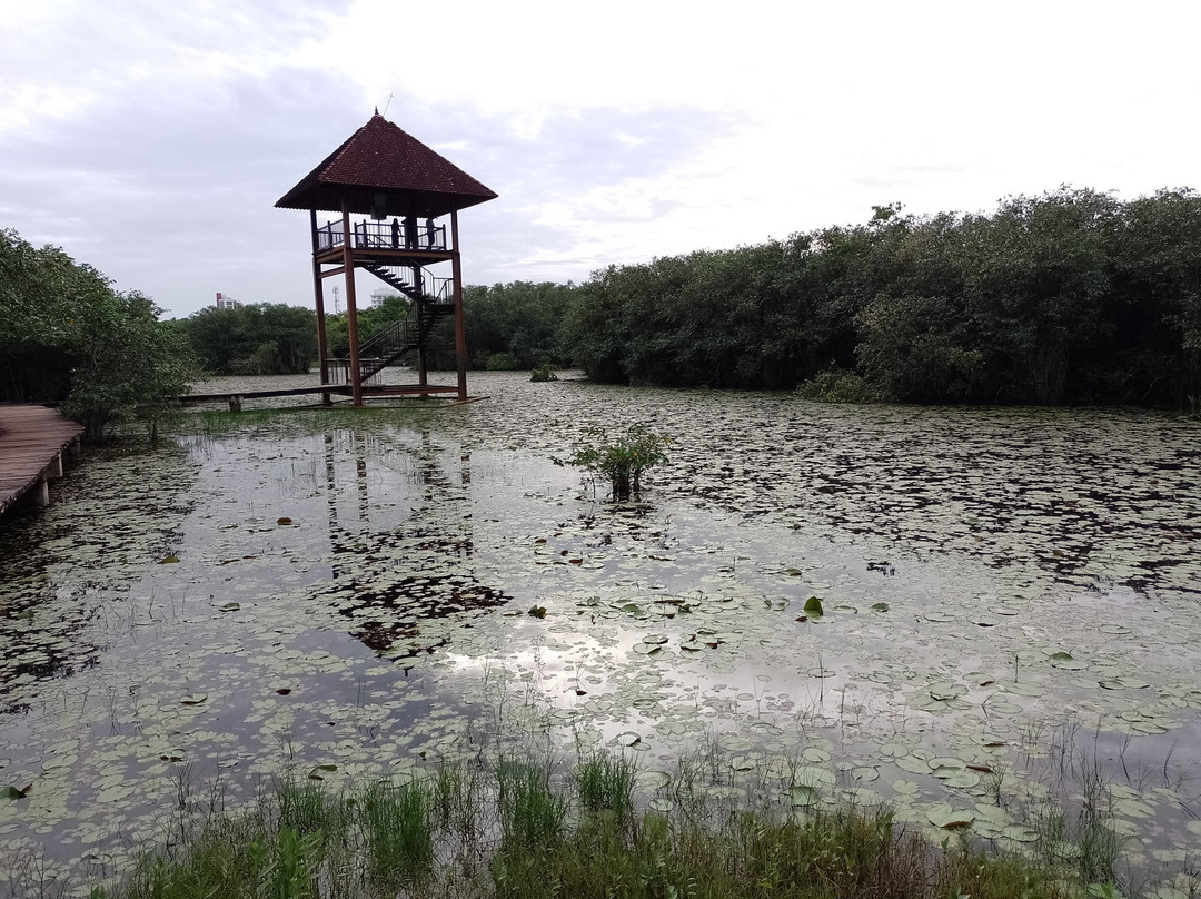 Beddegana Wetland Park景点图片
