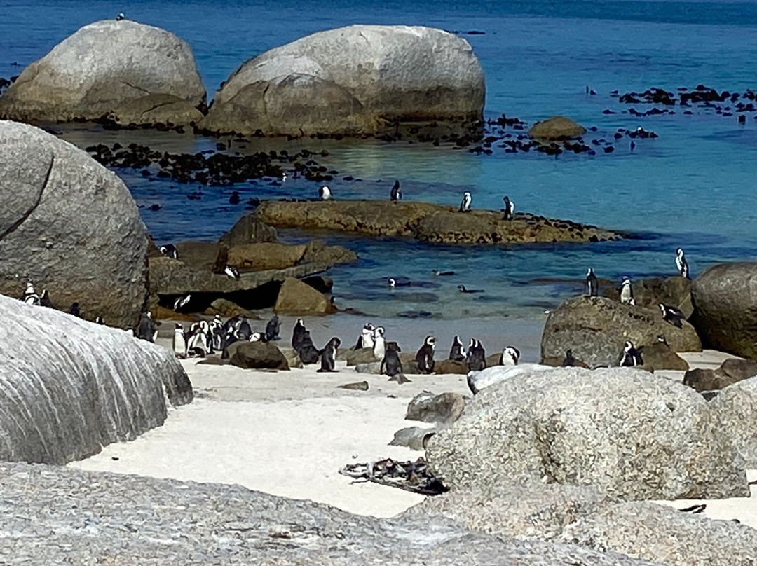 Baie Lekker Touring-开普敦中心区必去景点