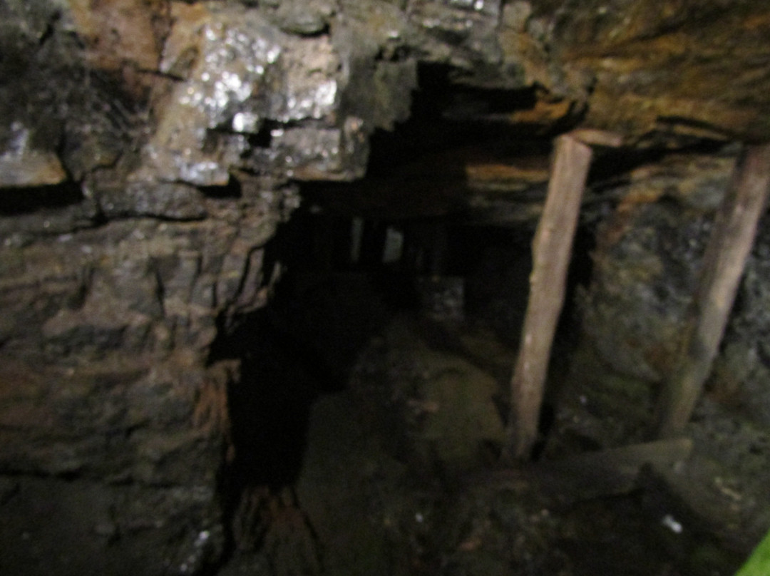 Lackawanna Coal Mine Tour景点图片
