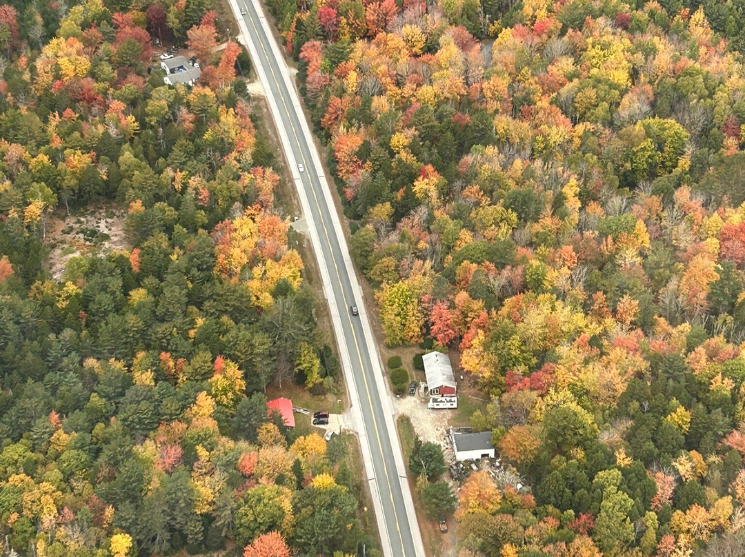 Scenic Flights of Acadia景点图片