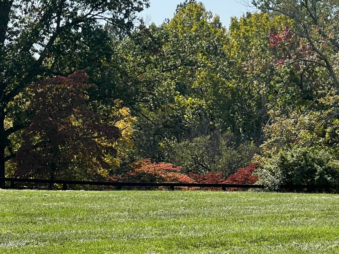 Septenary-Greenwood必去景点