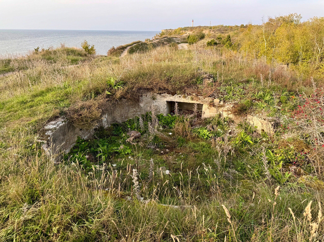 Cape Pakri-Paldiski必去景点
