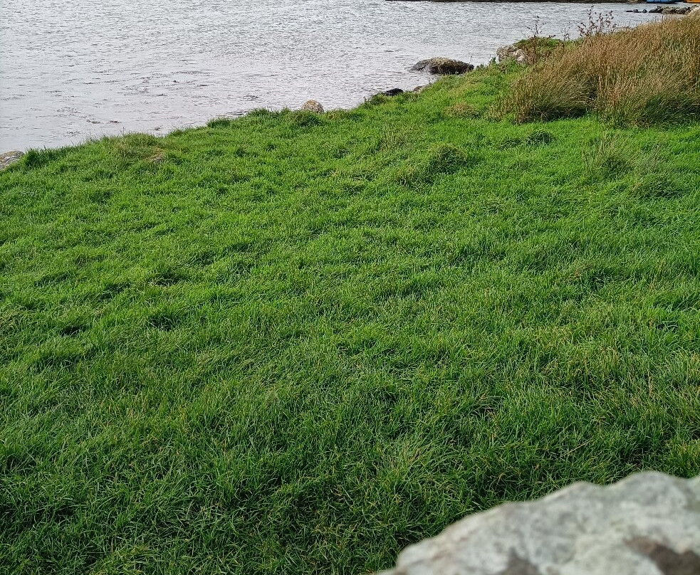 Kildavnet Castle景点图片