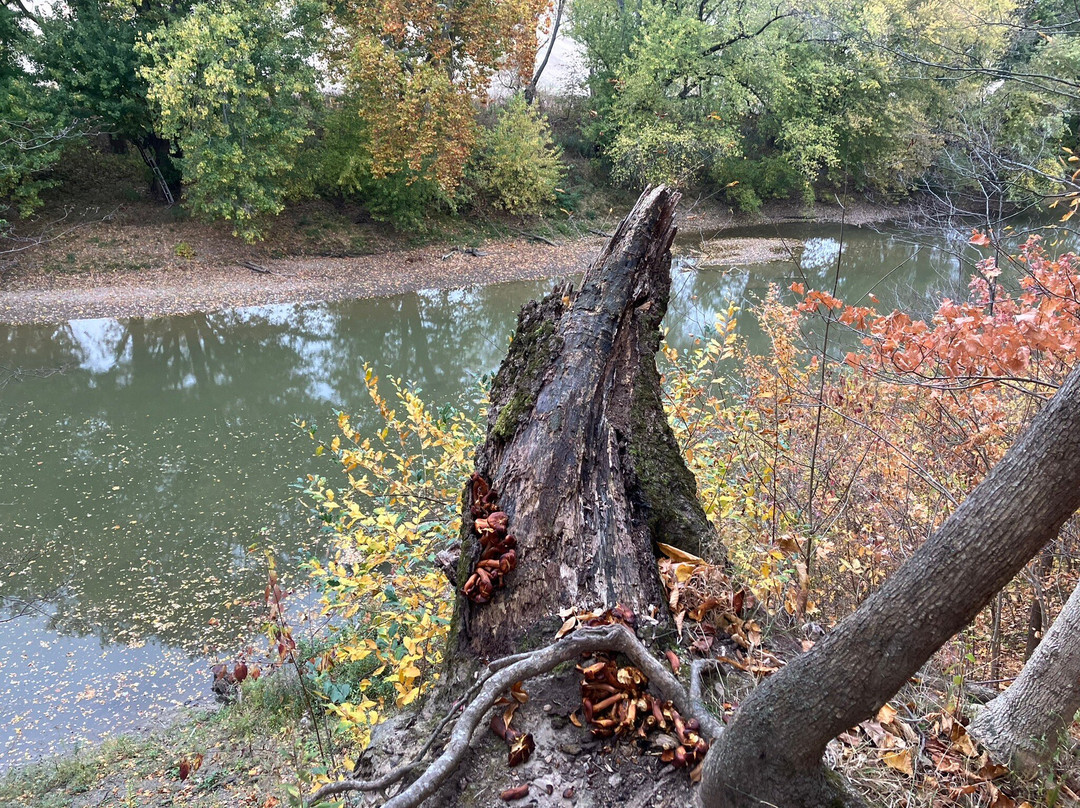 Schekelhoff Park-Tiffin必去景点