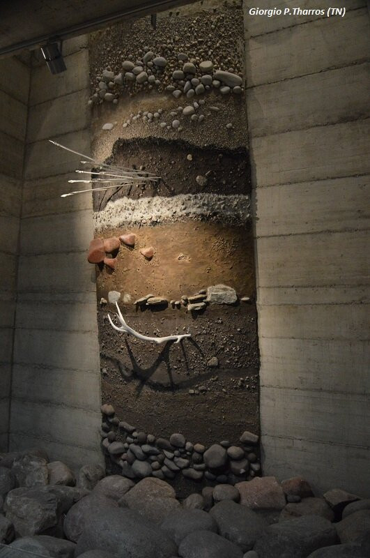 Museo Retico景点图片