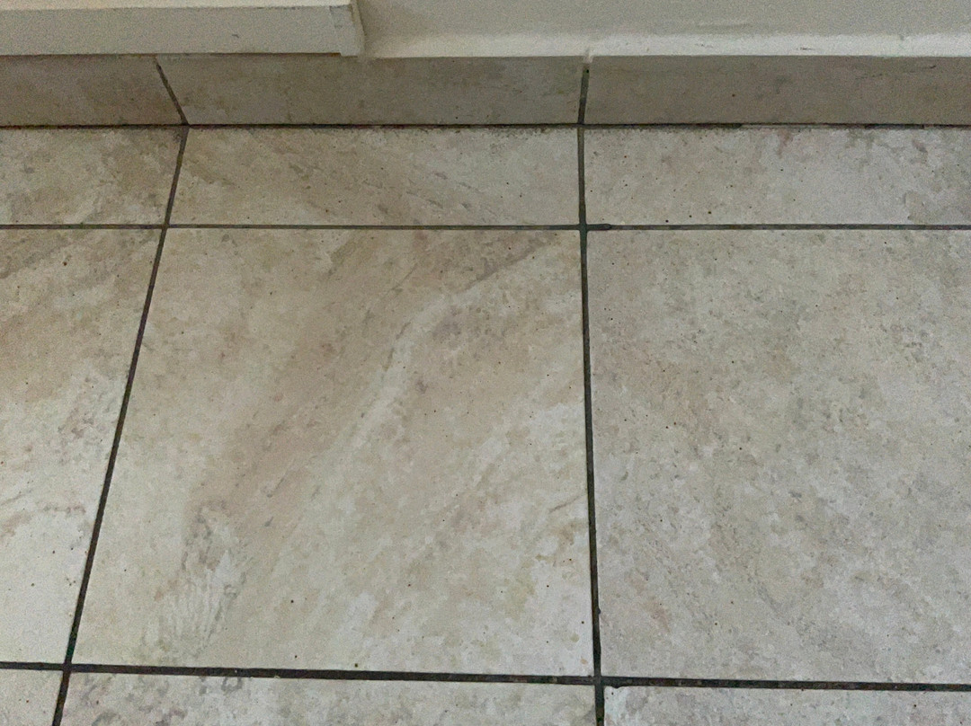 Best Quality Hotel Politecnico主图