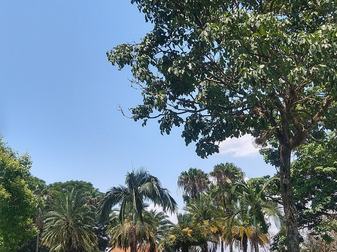 Parque Ecologico e de Lazer Gustavo Simioni-Sertaozinho必去景点