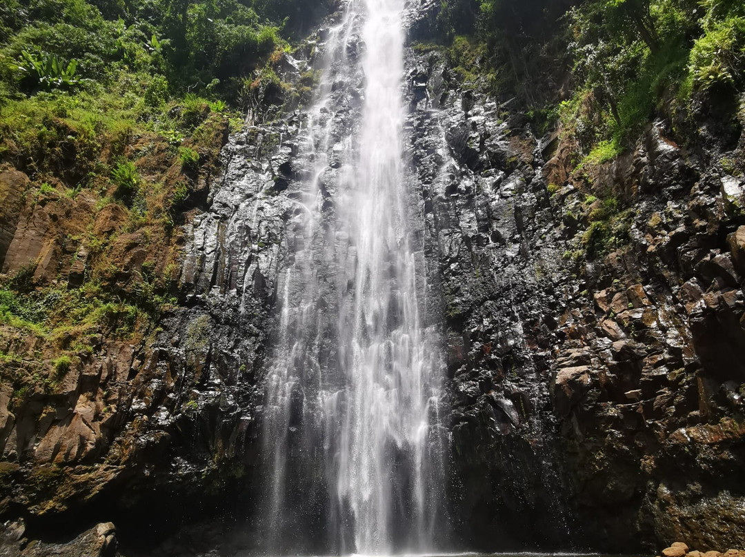 Matongoro Tours Adventure-莫西必去景点