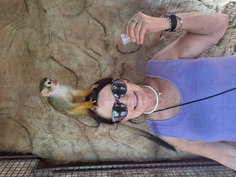 CityFunTastic-瓦拉塔港必去景点