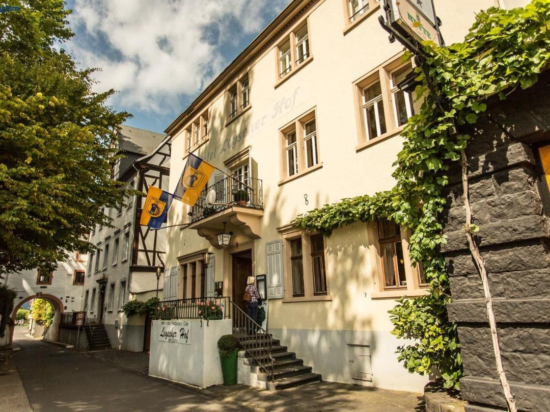 Neuwied旅游攻略图片