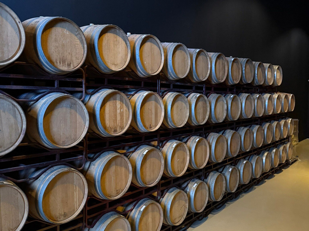 Tiago Cabaço Winery景点图片