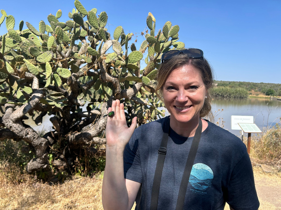 Travelian Tours-圣米格尔护城必去景点