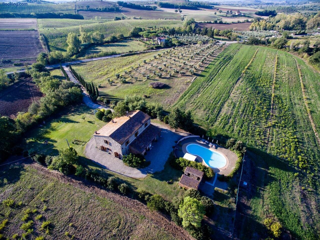 Tenuta di Montemassi Podere Raspollino