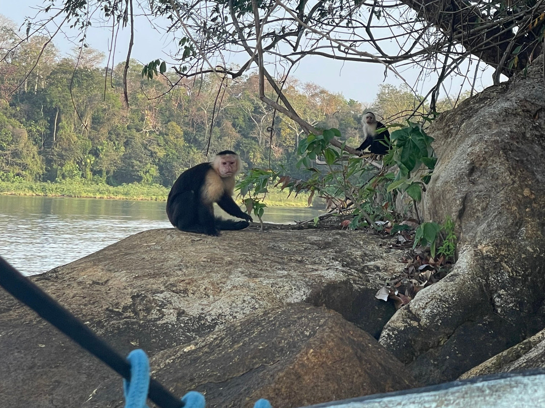 Panama Experience Tours景点图片