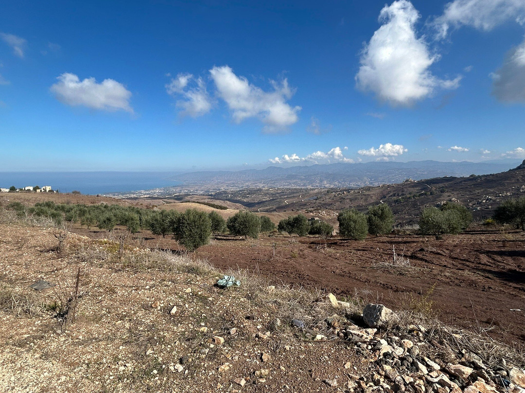 Droushia Heights Hotel主图