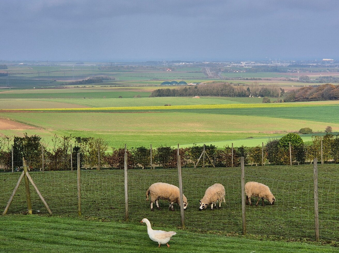La Ferme Du Grand Air主图