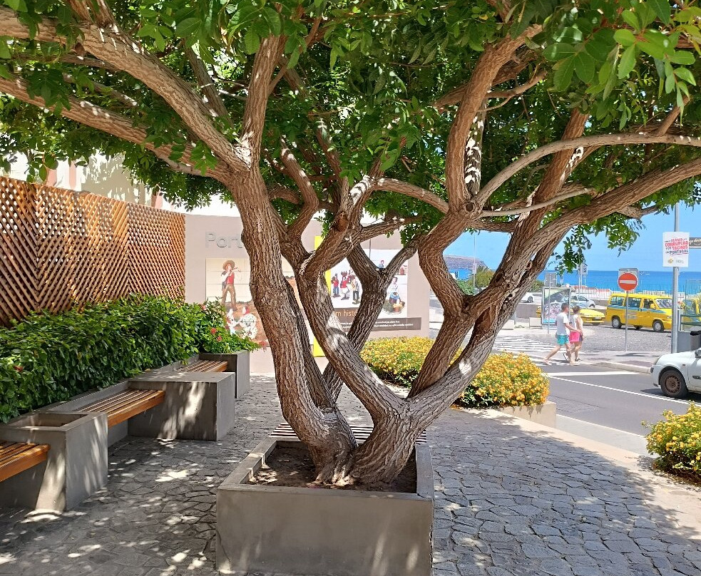 Moldura De Porto Santo-Vila Baleira必去景点