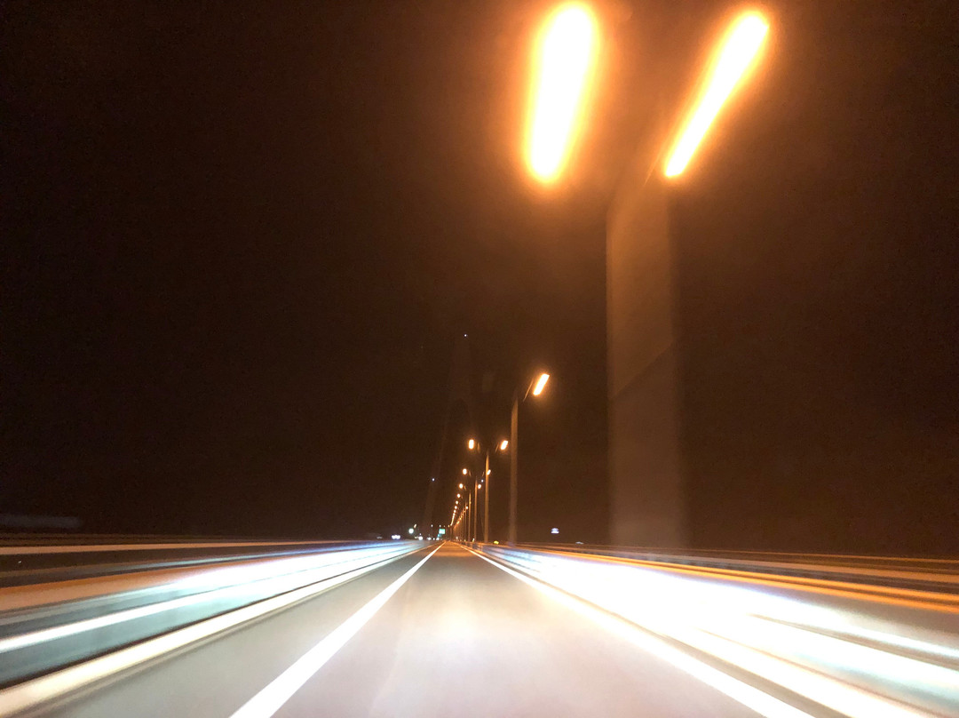 Ikuchi Bridge-尾道市必去景点