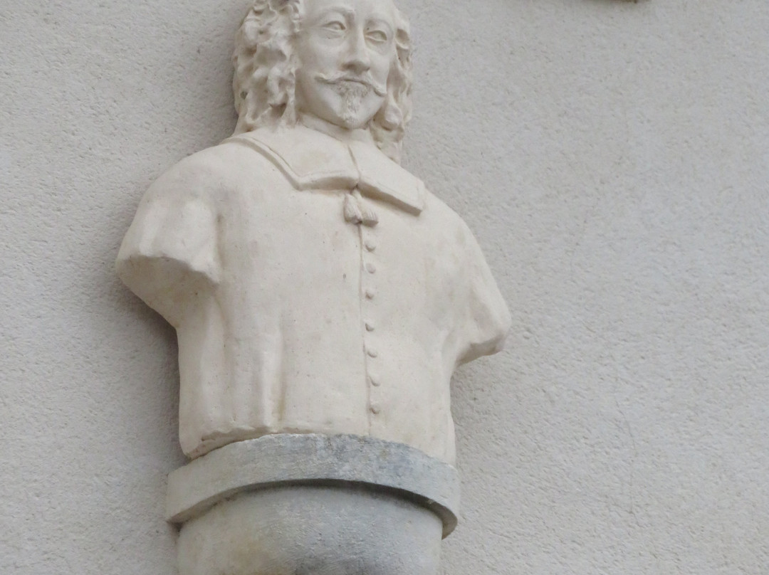Chateau de Jonzac景点图片