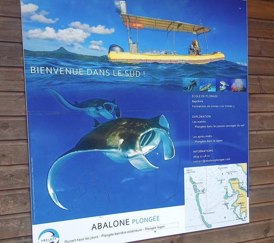 Abalone Plongée-Boueni必去景点