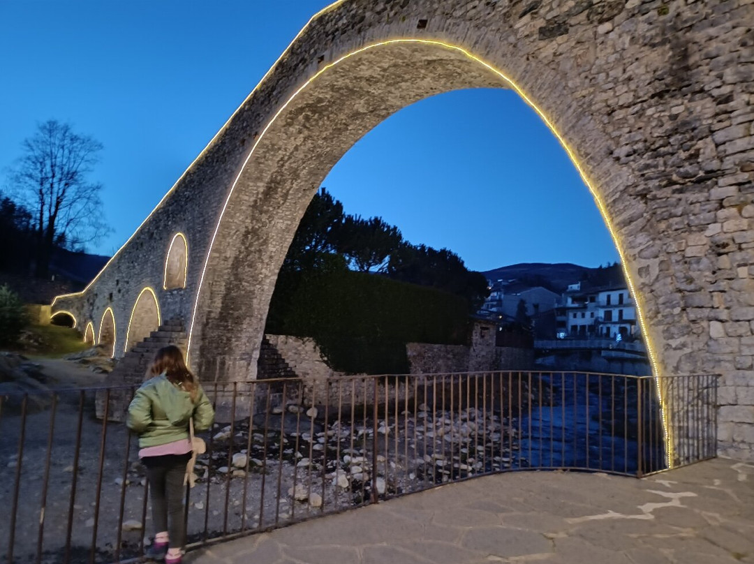 El Pont Nou景点图片