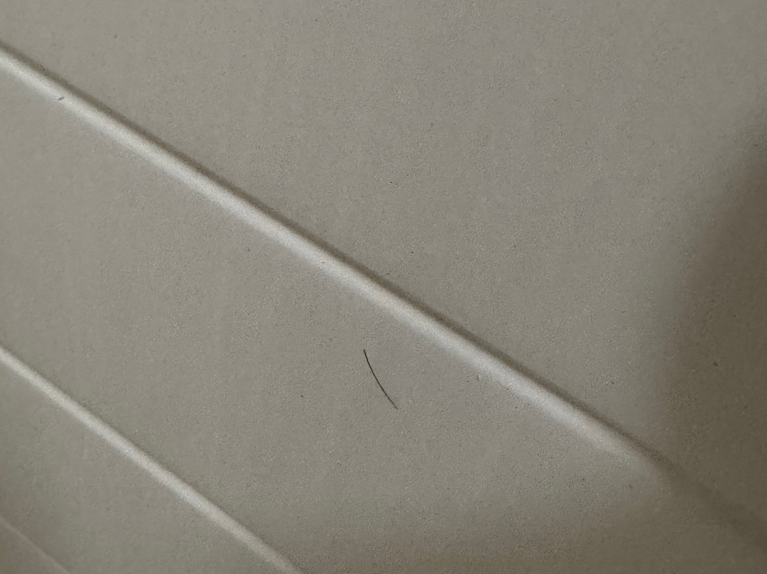 Best Western Milton Inn主图