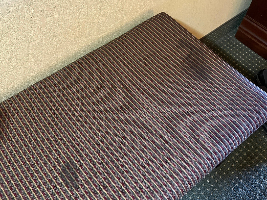 Clarion Suites主图