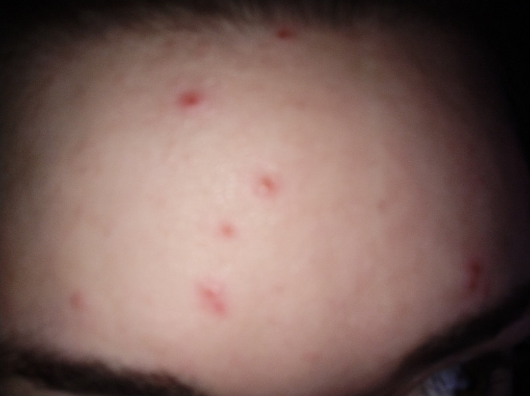 Super 8 by Wyndham Alma主图