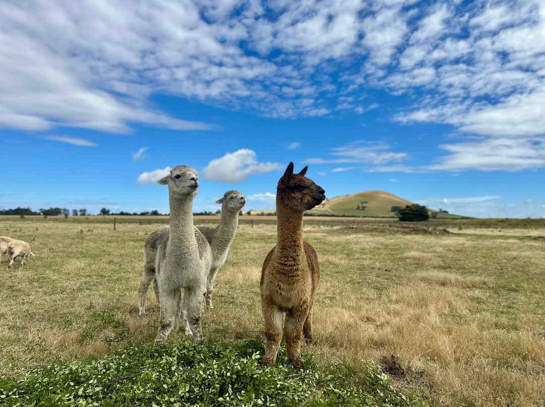 New Horizons Farm Stay主图