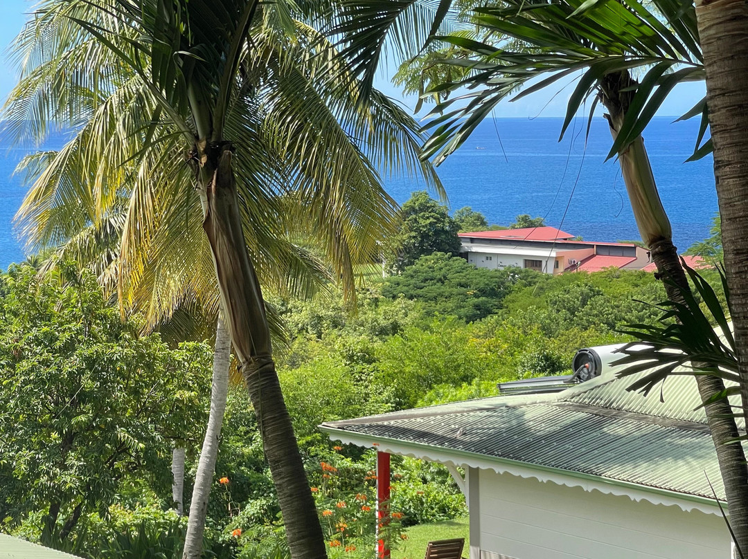 Hotel Restaurant Le Rayon Vert主图