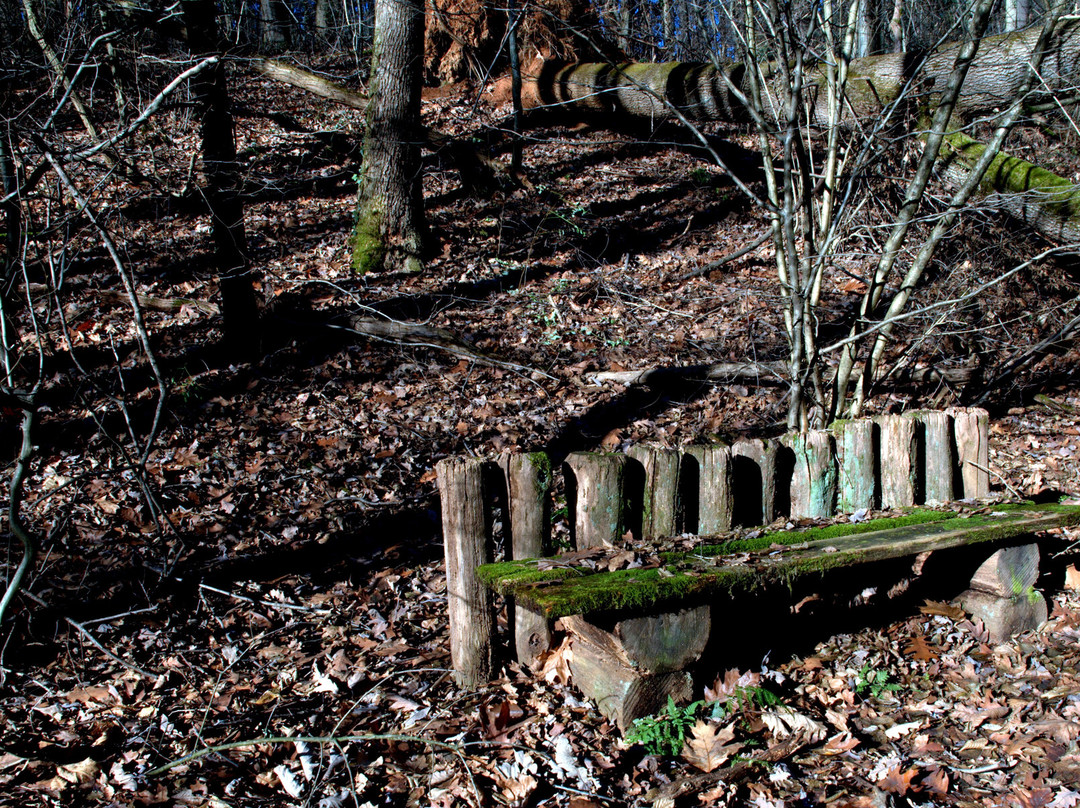 Bosco Chignolo-Triuggio必去景点